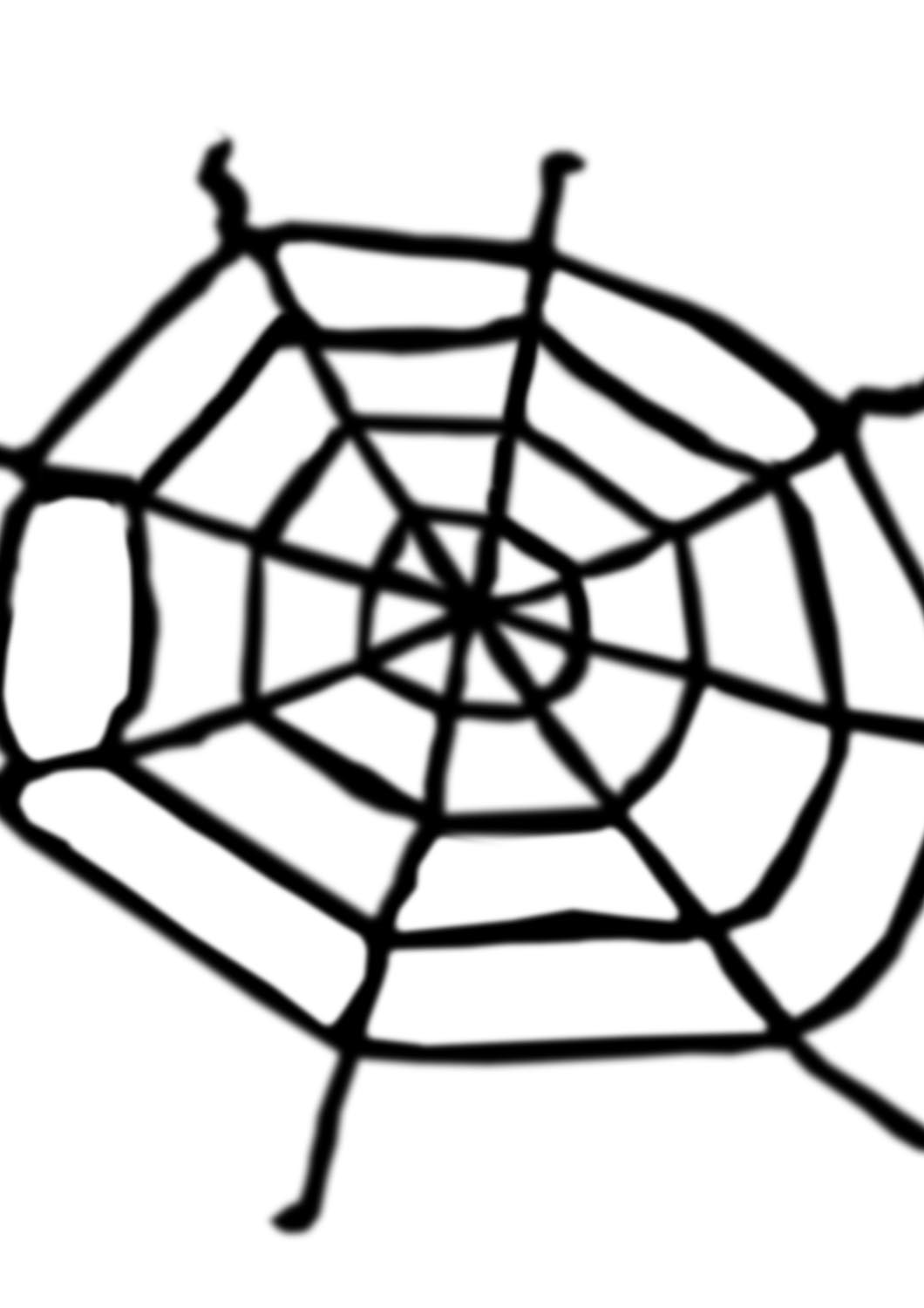 RAGNATELA DI RETE NERA